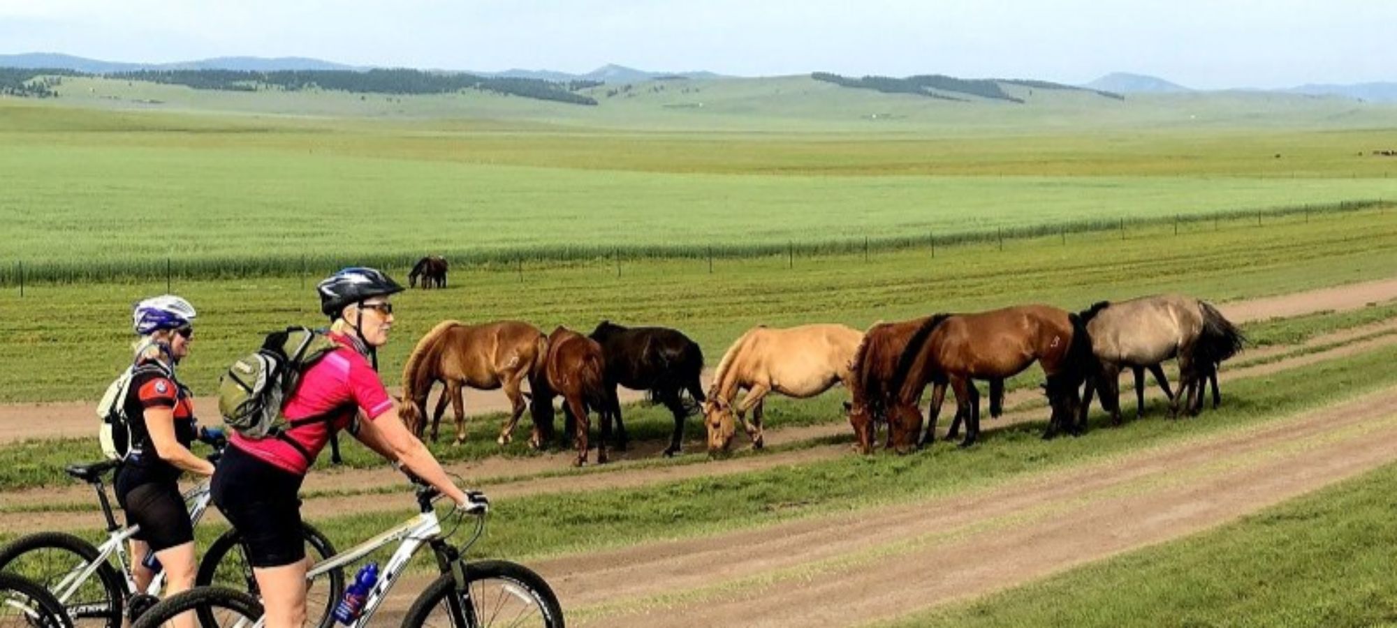 Photos from our Mongolia Bulgan Cycling Holiday